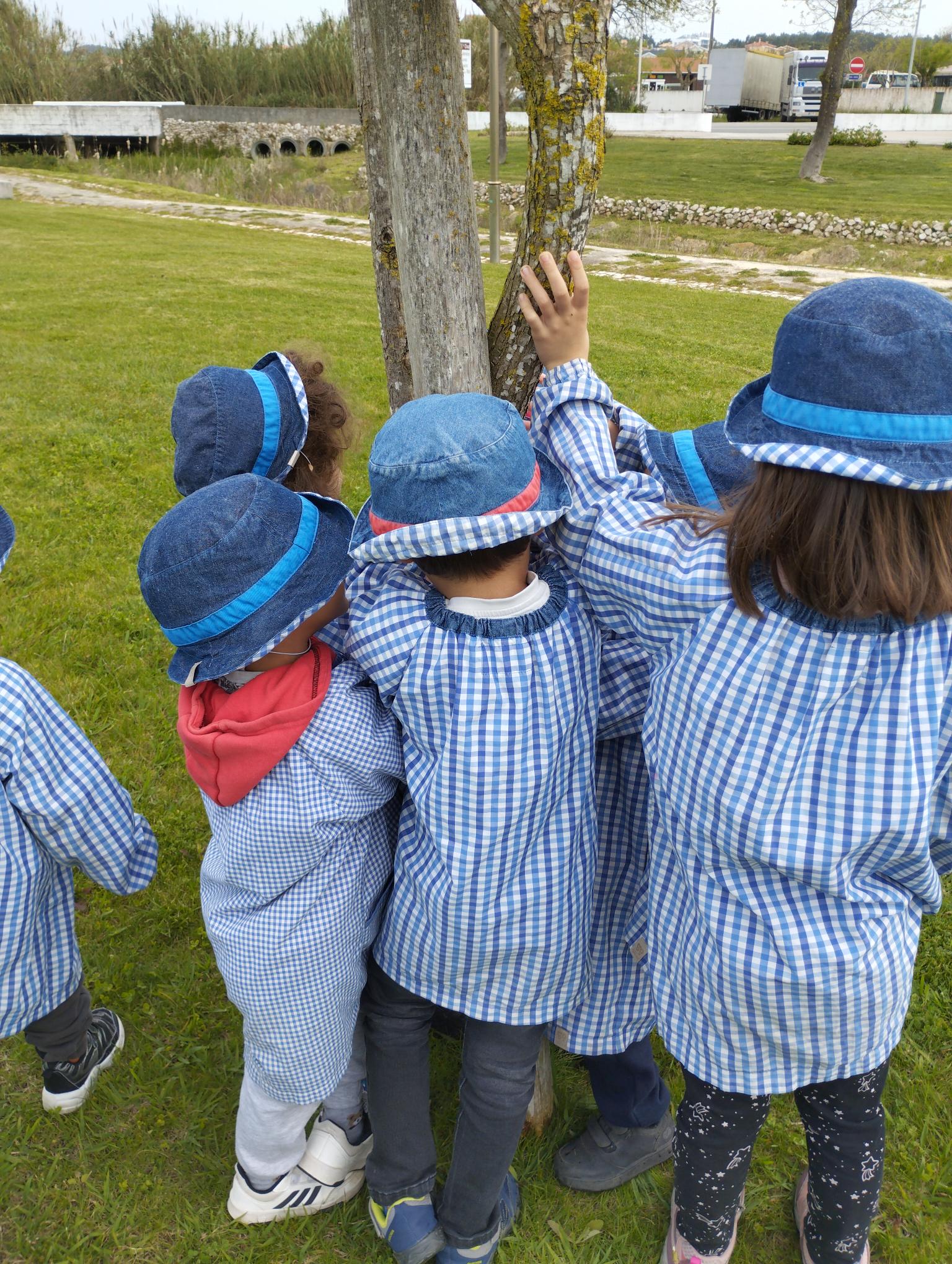 Piquenique da Primavera.  Dia da Árvore e Dia Eco-Escolas.