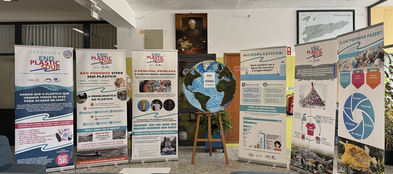 exposição